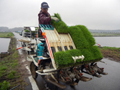 田植え機に苗を追加