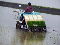 田植え機