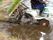 田植機を入れる