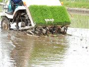 針金のマーカー