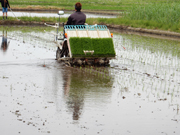 田植機