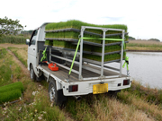 農道の軽トラック