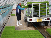 軽トラックに積む