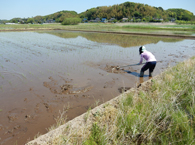 田植え機が作った凹凸を均します