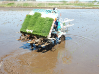 端でターン、凹凸ができます