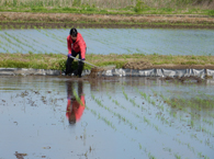 端を馴らしています
