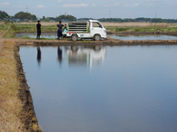 田んぼと軽トラック