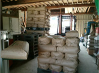 袋に詰められた玄米