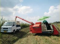 籾をグレンコンテナーに移す