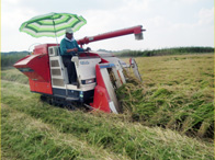 稲刈り 3条刈り