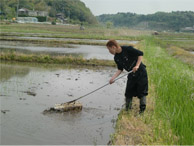 田植え４