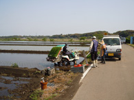 田植え遠景